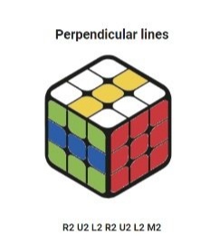 Perpendicular Line