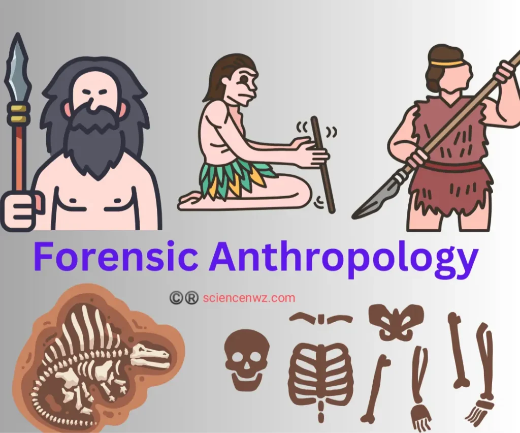 Forensic Anthropology