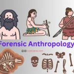 Forensic Anthropology