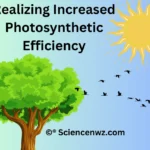 How to increase photosynthetic Efficiency