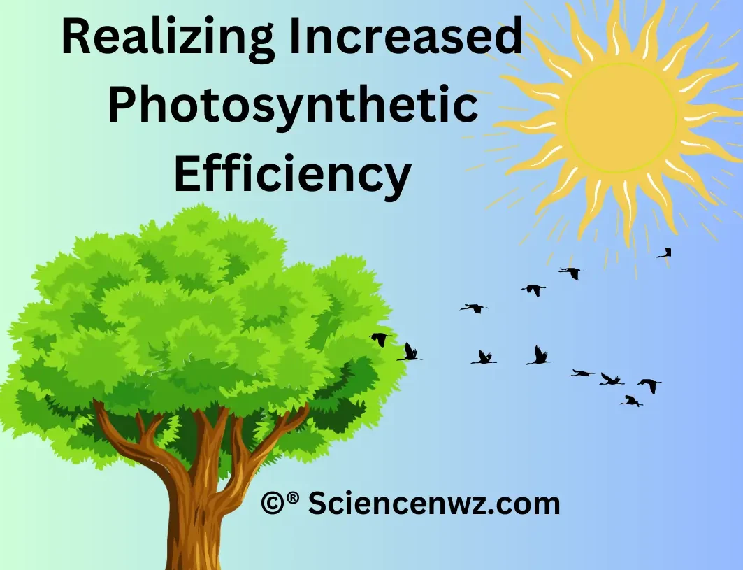 How to increase photosynthetic Efficiency