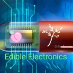 Edible electronics