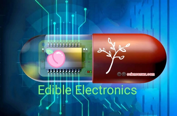 Edible electronics