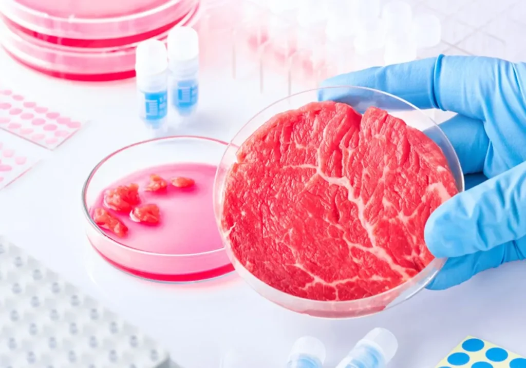 Pros and cons of lab grown meat