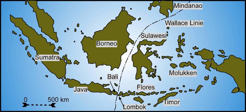 Invisible Barrier Between Bali and Lombok Islands