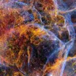 The Vela supernova remnant